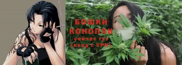 шишки Майский