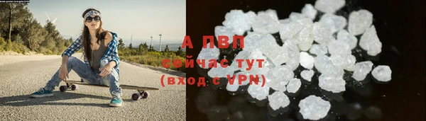 шишки Майский
