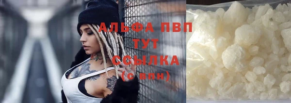 шишки Майский