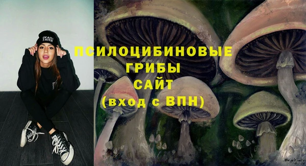 шишки Майский