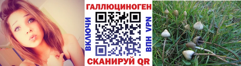 Псилоцибиновые грибы GOLDEN TEACHER  гидра ссылки  Усть-Джегута 