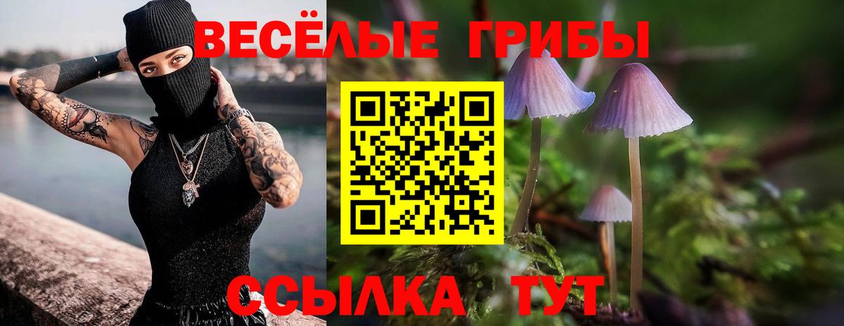 Галлюциногенные грибы мухоморы Усть-Джегута